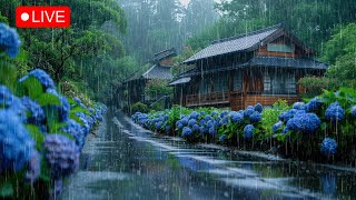 🔴Meditation Zen Garden Ambience 🌧️ Sleep Sound Nature Sound to Healing Relaxing [upl. by Cutlor]