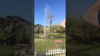 Calistoga Geyser absolutely stunning [upl. by Towny]