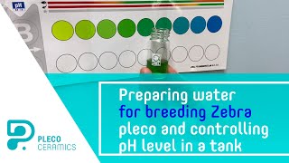 Preparing water for breeding Zebra pleco and controlling pH level in a tank [upl. by Gallagher2]