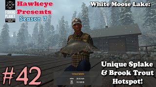 Fishing Planet 42  S7  White Moose Lake  UNIQUE Splake amp Brook Trout Hotspot [upl. by Hsital31]