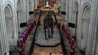 Norwich Cathedral Choristers welcome Dippy the dinosaur [upl. by Brottman]