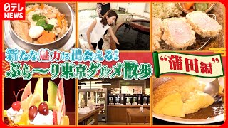 【東京ぶらり散歩】白いとんかつ＆黒い温泉＆釜飯＆オムレツ！蒲田の魅力を満喫『every特集』 [upl. by Xonk]