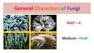 General Characters of Fungi Part4 Hindi [upl. by Maharba]