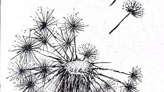 First experience with Pelikan Graphos pen amp ink drawing a dandelion music The Flower Of Carnage [upl. by Oah]