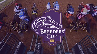 Breeders’ Cup 2022  Live 360° VR  Saturday Nov 5 [upl. by Melodee859]