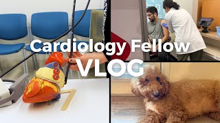 Transesophageal Echo Flu Shot and Paw Emergencies  A Day in the Life of a Cardiology Fellow [upl. by Nahte]