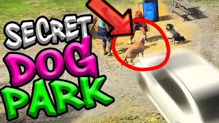 Hidden Secrets in GTAVs Secret Dog Park [upl. by Fitzger406]