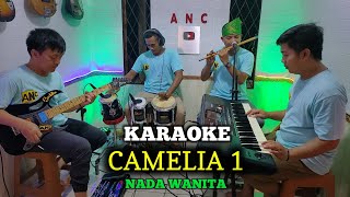 CAMELIA KARAOKE RHOMA IRAMA NADA WANITA [upl. by Viscardi]