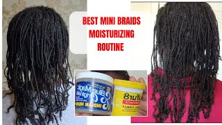 HOW TO MOISTURIZE MAINTAIN amp GROW NATURAL HAIR IN MINI BRAIDS  just 2 products gbeyiwafaith [upl. by Fabien646]