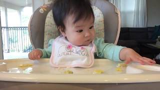 Baby Led Weaning BLW  Day 35  Scrambled Egg amp Avocado 6m4w [upl. by Nalloh]