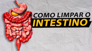 ELIMINE TOXINAS do seu INTESTINO  Dr Renato Silveira [upl. by Dlawso713]