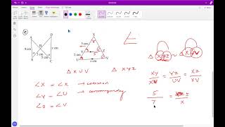 Similarity Myp IGCSE Extended and International Math [upl. by Dobson]