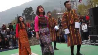 Bhutanese Modern Song Rigsar Dance 2017  Live at Changlimithang [upl. by Ahsinirt829]