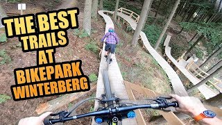 THE 3 BEST MTB TRAILS AT BIKEPARK WINTERBERG [upl. by Aivonas]