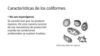 Coliformes Totales y Fecales [upl. by Sonahpets]