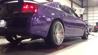 SRT8 Dodge Charger Dyno Plum Crazy [upl. by Debee]