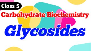 Glycosides  What are Glycosides Carbohydrate Biochemistry Class 5 [upl. by Suzan]