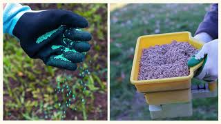 Coated vs Uncoated Grass Seed  Techy Turf Series [upl. by Magdalen]