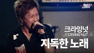 크라잉넛Crying Nut  지독한 노래🔞아는 만큼 보이는 노래😂 부산국제록페스티벌 2007 [upl. by Loleta]