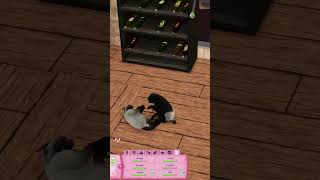 Cats in The Sims 3 are too cute sims3 [upl. by Lucila]