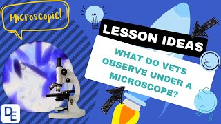 What do vets observe under a microscope [upl. by Dove]