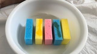 ASMR Damp and Soapy Sponge Ripping [upl. by Lauder729]