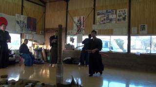 抜刀稽古 水平抜打稲妻（脇差） （日本刀試斬 Japanese Sword Test Cutting） [upl. by Kirima]