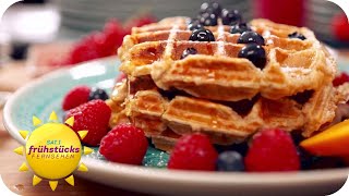 BlaubeerProteinWaffeln  leckerer Fitness Snack  SAT1 Frühstücksfernsehen [upl. by Ahsena]