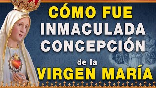 La Inmaculada Concepción de la Virgen María  Vida de la Virgen María [upl. by Marks]