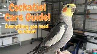 Cockatiel Care Guide  Everything You Need To Know  TheParrotTeacher [upl. by Premer]