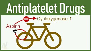 Antiplatelet Drugs Aspirin Clopidogrel etc [upl. by Nnednarb150]