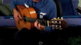 Pedro Maldonado F1 Flamenco Guitar [upl. by Nylrehc]