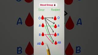 Whats Your Blood Group  Blood Group  Type of Blood Group  Blood Group Information [upl. by Prudy391]