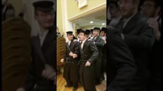 Dance Of Skverer Hasidim [upl. by Esyak478]