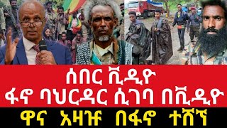 ሰበር ዜና  ፋኖ ባህርዳር ገብቶ አደረ  ቴዲ አፍሮ  ዳኘ ዋለ  Amhara Fano [upl. by Placidia]