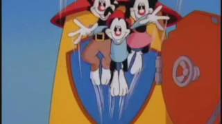 Animaniacs Theme Song Toonagers Extended Mix [upl. by Eynahpets]