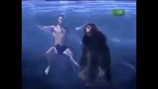 In Water Chimps Will Drown 😮 [upl. by Manson608]