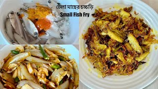 ঢেলা মাছের চচ্চড়ি । Dhela  Fasha Macher Chorchori । Small Fish Fry [upl. by Anitnas]