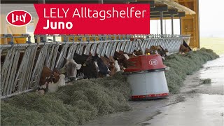 LELY Alltagshelfer – Juno [upl. by Ariat]