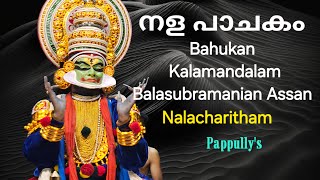 Nala Pachakam Kalamandalam Balasubramanian Assan as Bahukan Vedio By Sreekumar Pappully [upl. by Aivull900]