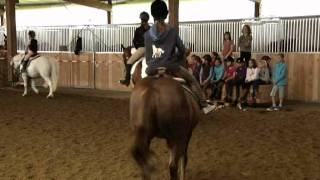 Reiten lernen auf dem Reiterhof Kohler in Biberach Regio TV Schwaben [upl. by Wisnicki360]