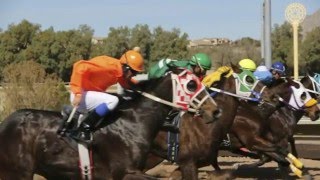 Tucsons Rillito Park  Horse Races [upl. by Zela]