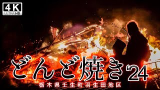 どんど焼き2024年 （栃木県壬生町） [upl. by Kassel]