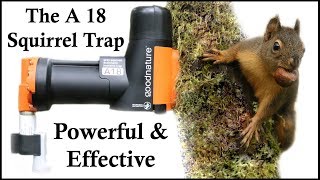 The A18 Squirrel Destroyer  A Powerful amp Effective CO2 Squirrel Trap  Mousetrap Monday [upl. by Rebba]