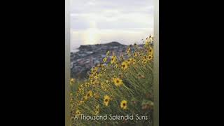 A Thousand Splendid Suns by Khaled Hosseini Audiobook [upl. by Gentes]