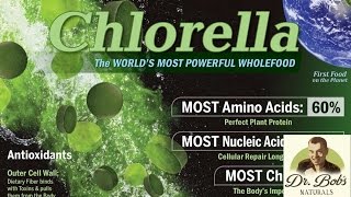 What is Chlorella chlorella protein proteinsupplement [upl. by Ahsiral518]