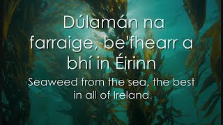 Dúlamán  LYRICS  Translation  Celtic Woman [upl. by Maiga861]