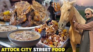 Street Food of Attock Expensive Horses at Madrota Village  Sajji Fruit Chat ft foodienoor [upl. by Fairfax]