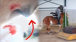 Mijn paard bloedt en vallen tijdens crossen 😵 [upl. by Ahseiuqal]