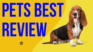 PET INSURANCE Review Cost Coverage Best Providers 🐶Pets Best Review [upl. by Isis]